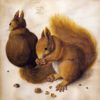 ‘Squirrels’ Albrecht Dürer, ink on paper, 1512.