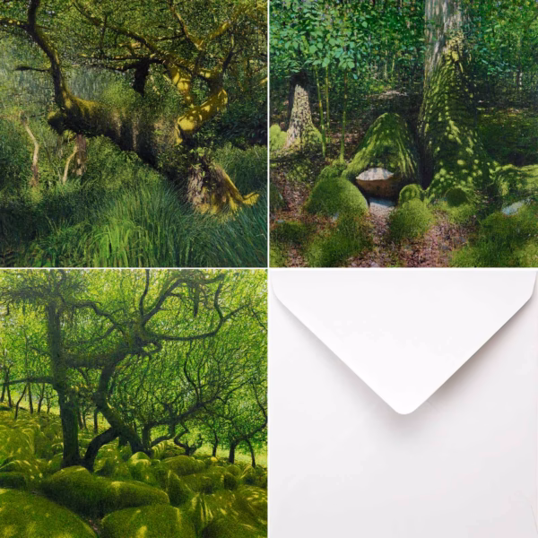 The Andrew Gifford Moss Light Collection I.