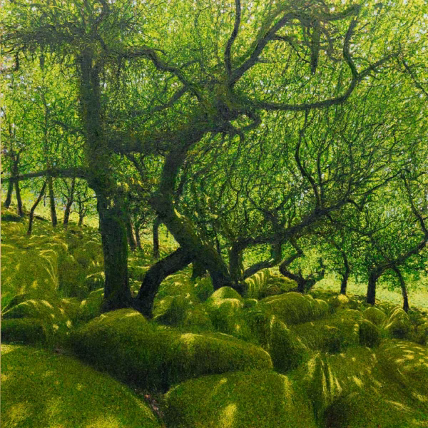 ‘Boulders and Canopy, Wistman’s Wood’, Andrew Gifford, oil on canvas, 2025.