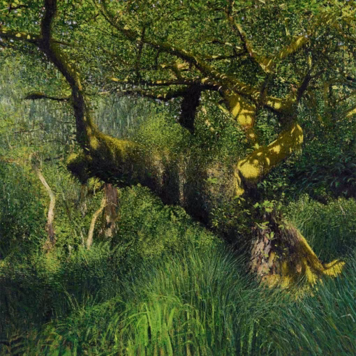 ‘Oak in Height of Spring, Wistman’s Wood, Dartmoor’, Andrew Gifford, oil on canvas, 2025.