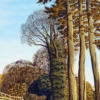 ‘The Red Kite’ Simon Palmer, ink, watercolour and gouache.