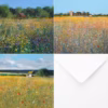 The Paul Evans Summertime Greetings Card Collection.