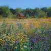 ‘Summertime’, Paul Evans, acrylic on canvas, 2023.